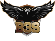 B3S Securite